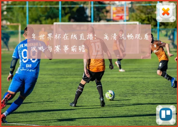 年世界杯在线直播:高清流畅观看攻略与赛事前瞻
